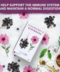 Nutra Tea - Elderberry & Ecea Tea | Elderberry Tea - Immunity Tea | Immune Tea - 20 Tea Bags - Herbal Tea
