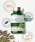 Carlyle Mulberry Leaf Extract | 3000mg | 100 Capsules | Non-GMO and Gluten Herbal Supplement