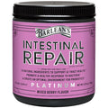 Barlean's Platinum Intestinal Repair Mixed Berry 6.35 Oz. 169635