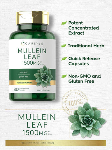 Carlyle Mullein Leaf Extract 1500mg | 200 Capsules | Verbascum Thapsus | Non-GMO Gluten Supplement