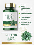 Carlyle Mullein Leaf Capsules 1500Mg | 200 Count | Verbascum Thapsus | Non-Gmo, Gluten Free Supplement