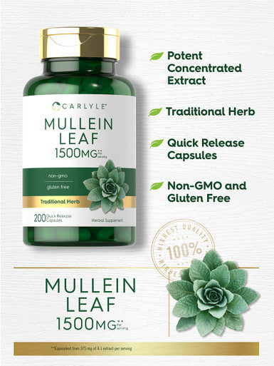 Carlyle Mullein Leaf Capsules 1500Mg | 200 Count | Verbascum Thapsus | Non-Gmo, Gluten Free Supplement