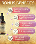 Herbalicious Echinacea Supplement Root Extract Liquid Drops - Antioxidant Rich Formula for Immune Function Support - Vegan Herbal Tincture - Non-GMO Alcohol- & Gluten- 4oz