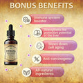 Herbalicious Echinacea Supplement Root Extract Liquid Drops - Antioxidant Rich Formula for Immune Function Support - Vegan Herbal Tincture - Non-GMO Alcohol- & Gluten- 4oz