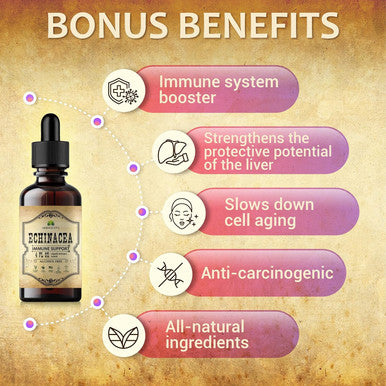 Herbalicious Echinacea Supplement Root Extract Liquid Drops - Antioxidant Rich Formula for Immune Function Support - Vegan Herbal Tincture - Non-GMO Alcohol- & Gluten- 4oz