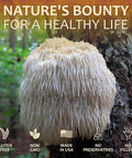 Herbalicious Lion s Mane Mushroom Supplement Premium Mushroom Powder Capsules for Memory and Nerve Support Non-Gluten and Non-GMO Focus Supplement 500mg Lion s Mane 100 Capsules