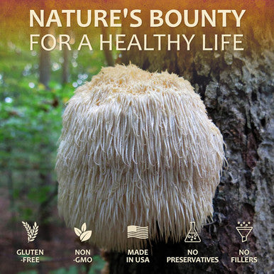 Herbalicious Lion s Mane Mushroom Supplement Premium Mushroom Powder Capsules for Memory and Nerve Support Non-Gluten and Non-GMO Focus Supplement 500mg Lion s Mane 100 Capsules