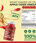 Apple Cider Vinegar Gummies by New Age - 2-Pack - 120 Count - Immunity & Detox - with The Mother, Gluten-Free, Vegan, Vitamin B9, B12, Pomegrantate, Beetroot (2 Pack 120 Count)