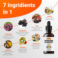 SIRUNES Immune Booster - Immunity Support Multivitamin - Vitamin C And D3, Elderberry, Zinc, Ecea, Ginger, Turmeric - Antioxidant, Energy And Vigor, Brain Boost, Stress Relief (Immune Support 2 Fl Oz)