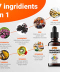 SIRUNES Immune Booster - Immunity Support Multivitamin - Vitamin C And D3, Elderberry, Zinc, Ecea, Ginger, Turmeric - Antioxidant, Energy And Vigor, Brain Boost, Stress Relief (Immune Support 4 Fl Oz)
