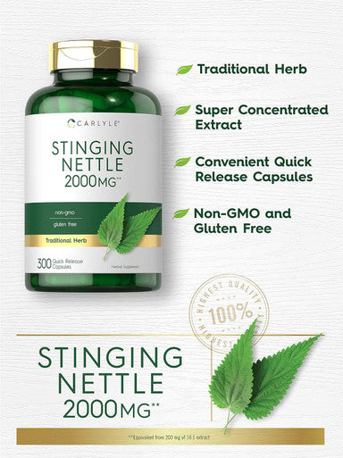 Carlyle Stinging Nettle Leaf Extract 2000mg | 300 Capsules | Non-GMO & Gluten Supplement