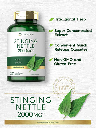 Stinging Nettle Leaf Extract 2000mg 300 Capsules Non-GMO & Gluten Free Supplement by Carlyle