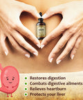 HERBALICIOUS Licorice Root Extract - Glycyrrhiza Glabra - Herbal Supplement For Digestion Restore Respiratory Health Fatigue & Immunity Support Vegan Gluten Free Liquid Tincture (2Fl Oz)