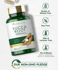 Carlyle Yucca Root Supplement 1000mg | 120 Capsules | Non GMO and Gluten Extract