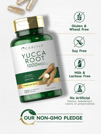 Carlyle Yucca Root Supplement 1000mg | 120 Capsules | Non GMO and Gluten Extract