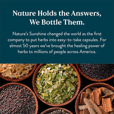 Nature'S Sunshine DHA 60 Softgels