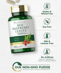 Carlyle Red Raspberry Leaf Capsules | 1200mg | 120 Count | Non-GMO and Gluten Formula | Traditional Herbal Extract
