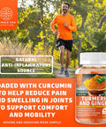 N1N Premium Iron Gummies 11 Powerful Ingredients and Turmeric Curcumin Gummies with Ginger to Support Joints Brain Functions and Fight Inflammation 2 Pack Bundle