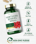Carlyle Hawthorn Berry Capsules | 1695mg | 250 Capsules | Non-GMO Gluten Extract