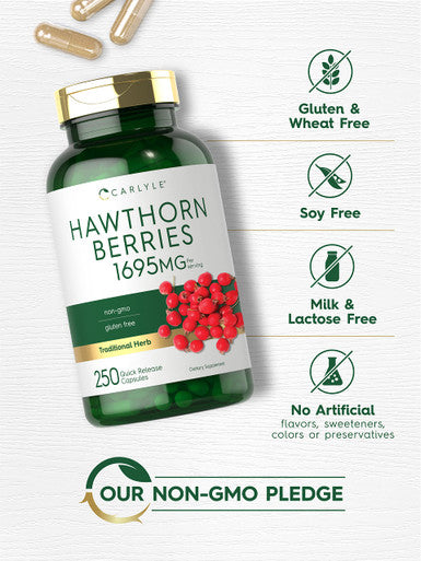 Carlyle Hawthorn Berry Capsules | 1695Mg | 250 Capsules | Vegetarian, Non-Gmo, Gluten Free Extract