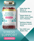 Carlyle Stress Support Gummies | 50 Count | with GABA and L-Theanine | Strawberry Lemon Flavor | Non-GMO Gluten Supplement
