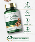 Carlyle Pycnogenol 100 Mg | 30 Capsules | Non-Gmo And Gluten Free Formula | French Maritime Pine Bark Extract Supplement