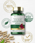 Carlyle Coleus Forskohlii Capsules | 625mg | 100 Count | Non-GMO & Gluten Standardized Extract | Forskolin Supplement