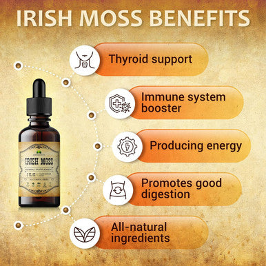 HERBALICIOUS Natural Irish Moss Extract - Drops For Health, Thyroid Function Support, Healthy Digestion, Energy Boost - Liquid Dietary Supplement - Vegetarian-Friendly Formula (2Oz)