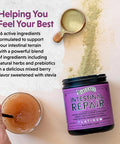 Barlean's Platinum Intestinal Repair Mixed Berry 6.35 Oz. 169635
