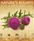 HERBALICIOUS Milk Thistle Extract - All-Natural Cleanse And Detox Supplement For Liver Support, Immune System Boost And Skin Health - Silymarin Nutritional Supplement - 2 Fl Oz