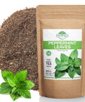 4 oz. White Mulberry Tea Mulberry Leaf Herbal Tea (Morus Alba) - 113g Herb Hoja De Morera