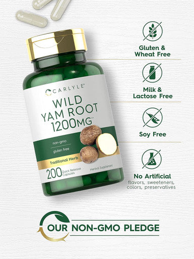 Carlyle Wild Yam Root Capsules | 200 Count | Non-GMO Gluten | Traditional Herb Extract
