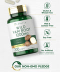 Carlyle Wild Yam Root Capsules | 200 Count | Non-Gmo, Gluten Free | Traditional Herb Extract