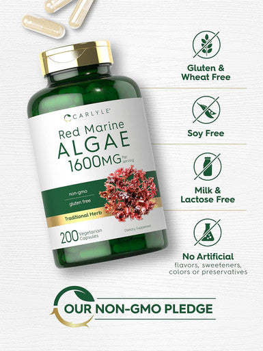 Carlyle Red Marine Algae 1600mg | 200 Capsules | Vegetarian Supplement | Non-GMO Gluten