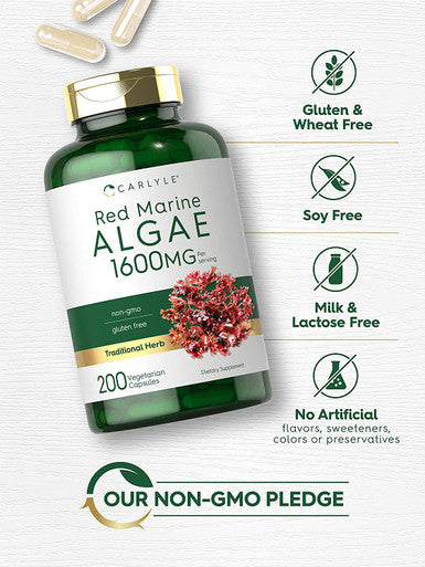 Red Marine Algae 1600mg | 200 Capsules | Vegetarian Supplement | Non-GMO, Gluten Free | by Carlyle