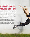 Wampole Vitamin C 500mg Helps Support Immune Function Value Pack 250 Tablets