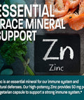 Bronson Zinc 50Mg Complex, 100 Vegetarian Capsules - High Potency Immune Support, Antioxidant Protection, Skin Health