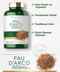 Carlyle PAU D'Arco Capsules | 1500mg | 180 Count | Non-GMO Gluten | Herbal Supplement