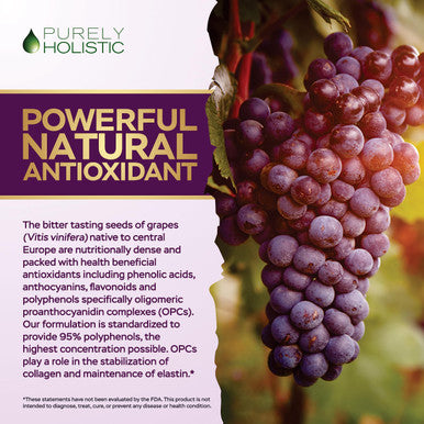 Purely Holistic Grape Seed Extract 400Mg + Tart Cherry Extract And Celery Seed Bundle - 430 Vegan Capsules - Made In Usa