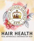 Herbal Essences, Sulfate Free Shampoo and Conditioner Kit With Natural Source Ingredients, BioRenew Honey & Vitamin B, Color Safe, 13.5 & 12.2 fl oz, Kit