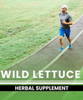 PURE ORIGINAL INGREDIENTS Wild Lettuce (365 Capsules) No Magnesium Or Rice Fillers, Always Pure, Lab Verified