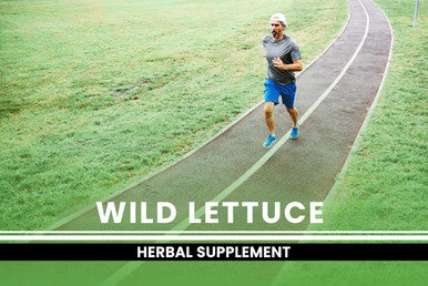 PURE ORIGINAL INGREDIENTS Wild Lettuce (365 Capsules) No Magnesium Or Rice Fillers, Always Pure, Lab Verified
