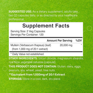 Deal Supplement Mullein Leaf Extract 20000mg 240 Veggie Capsules 4 Month Supply Natural Lung Detox Herbal Supplement Supports Respiratory & Immune Health Non-GMO Vegan