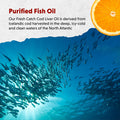Barlean's Organic Oils Fresh Catch Orange Flavor Fish Oil