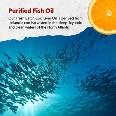 Barlean's Organic Oils Fresh Catch Orange Flavor Fish Oil