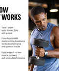 Force Factor HMB Supplement to Preserve Lean Muscle Support Workout Recovery and Prevent Muscle Protein Breakdown Clinical Dose Premium Quality Non-GMO 90 Tablets