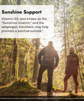 Irwin Naturals Vitamin D3 + K2 - High Potency D3 + K2 Complex - Dietary Supplement For Bone Health - 60 Liquid Softgels Bundle Pill Case