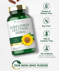 Carlyle Sunflower Lecithin Softgel Capsules 2400Mg 200 Count Rich In Phosphatidyl Choline Non-Gmo, Soy Free, Gluten Supplement