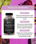 Karamd Probio Amplify - High Potency Cfus, 11 Enzyme Strains & Healthy Natural Fiber - Probiotic Supplement For Digestive Support & Gut Health - Vegetable Capsules - 30 Servings (90 Capsules)