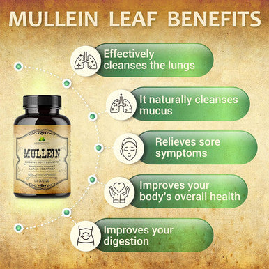 Herbalicious Mullein Leaf Capsules - Verbascum Thapsus Supplement - Herbal Extract Promoting Lung Respiratory & Digestive Wellness - Lung Cleanse & Detox Support Pills - Vegan Non-GMO 100 Tablets